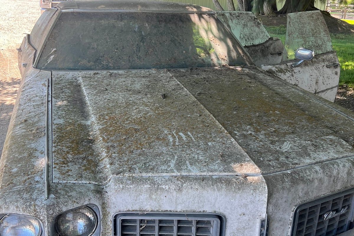 Front of a white Oldsmobile covered in moss, dirt and debris, parked on gravel
